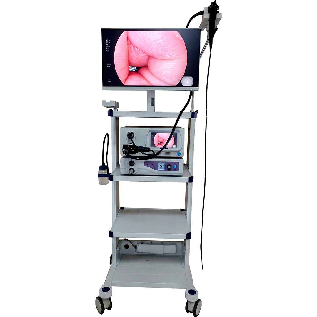 Endoscope Camera