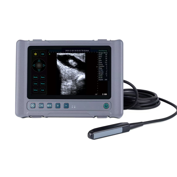 Veterinary Handheld Ultrasound